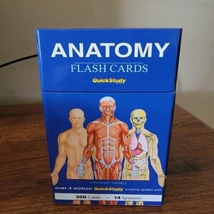 Anatomy Flash Cards